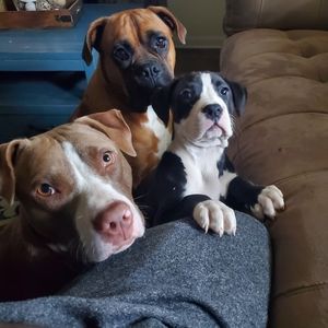 Meet your Posher, Marcus